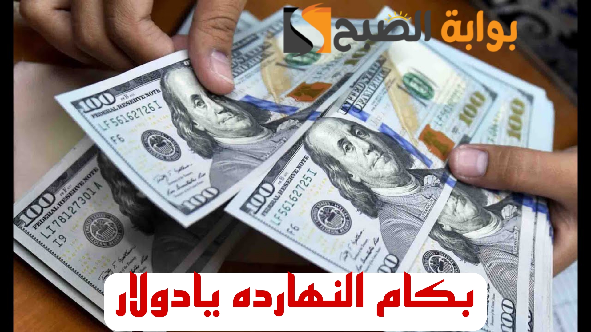 "بكام النهارده يا دولار".. تعرف على اسعار الدولار اليوم الاربعاء 14 فبراير 2024 في مختلف البنوك..!! 6 “بكام النهارده يا دولار”.. تعرف على اسعار الدولار اليوم الاربعاء 14 فبراير 2024 في مختلف البنوك..!!