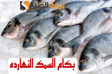 “بكام السمك النهارده “.. تعرف على اسعار الاسماك اليوم الاربعاء الموافق 14 فبراير 2024 في مختلف الأسواق.!!