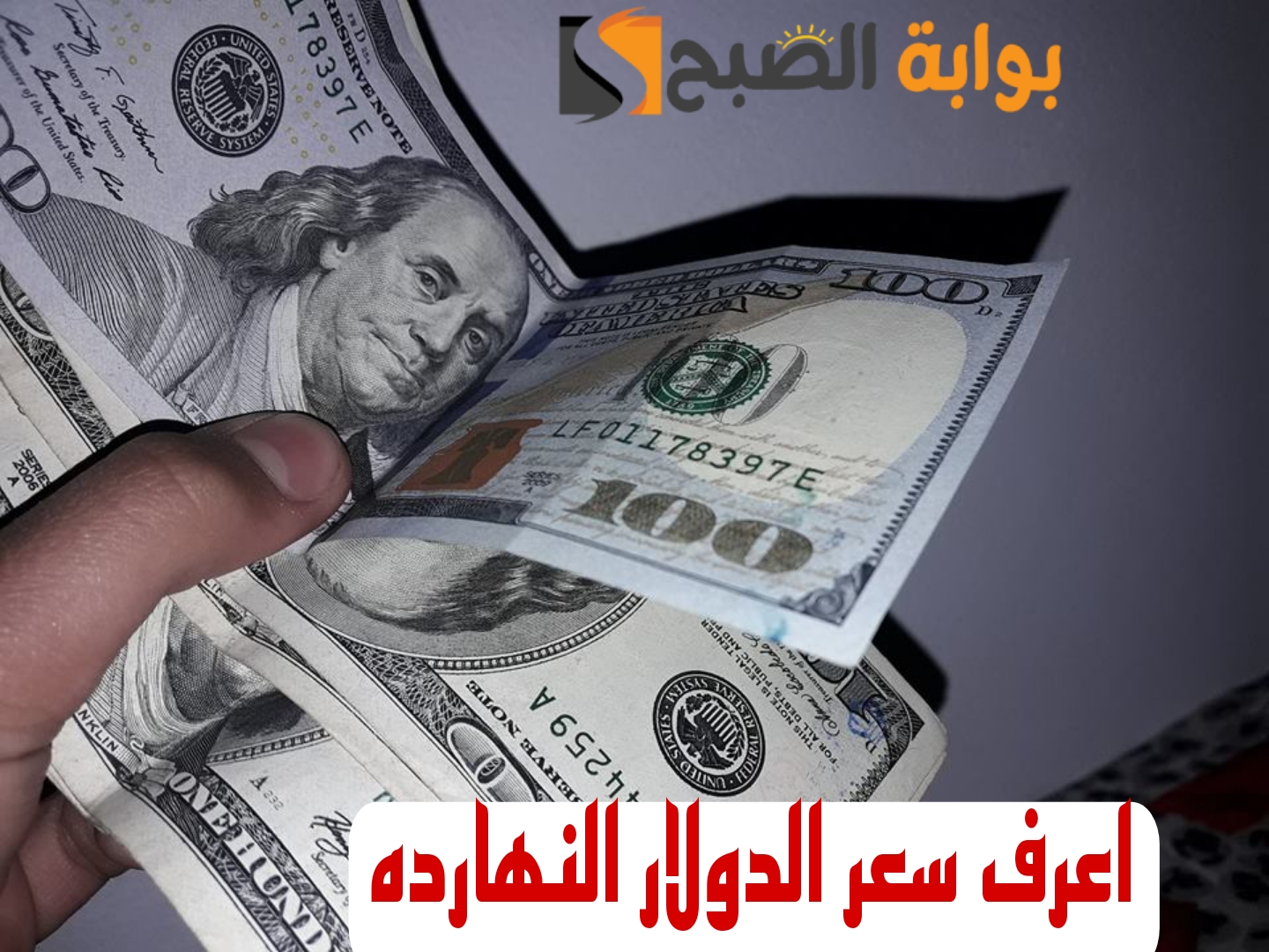“بكام النهارده يادولار”.. تعرف على سعر الدولار اليوم الخميس 15 فبراير 2024 في مختلف البنوك..!!