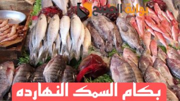 بكام يا سمك النهاردة؟.. هذه هي أسعار السمك اليوم الجمعة 16 فبراير 2024 في الأسواق المصرية!!
