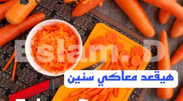 Picsart 24 02 17 01 08 31 353
