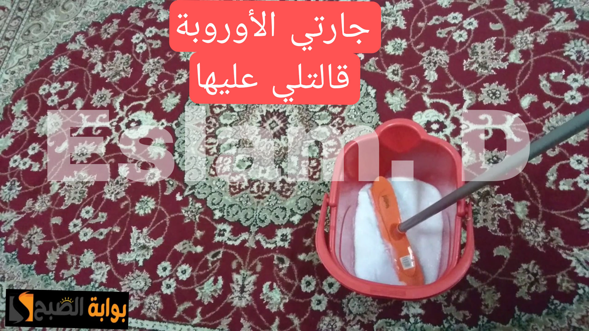 نظفي سجادك وخليه بيبرق.. طريقة غسل السجاد بدون ماء في المنزل جربيها وهتدعيلي!! 5 نظفي سجادك وخليه بيبرق.. طريقة غسل السجاد بدون ماء في المنزل جربيها وهتدعيلي!!