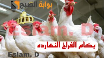 Picsart 24 02 17 11 08 56 304