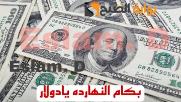 “بكام يا أخضر النهاردة”.. تعرف على سعر الدولار اليوم السبت 17 فبراير 2024
