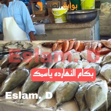 بكام ياعم البوري.. تعرف على الأسعار التي سجلها السمك اليوم في الأسواق المصرية السبت 17 فبراير 2024!!