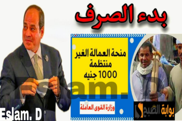 “الناس مش مصدقين نفسهم من الفرحة”.. منحة العمالة غير المنتظمة 1000 جنيه تصرف ل2.5 مليون مستفيد.. هي دي الخبر اللي يفرح!