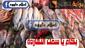 ”السمك بكام النهاردة“ تعرف على آخر أسعار الأسماك اليوم الإثنين 19 فبراير 2024