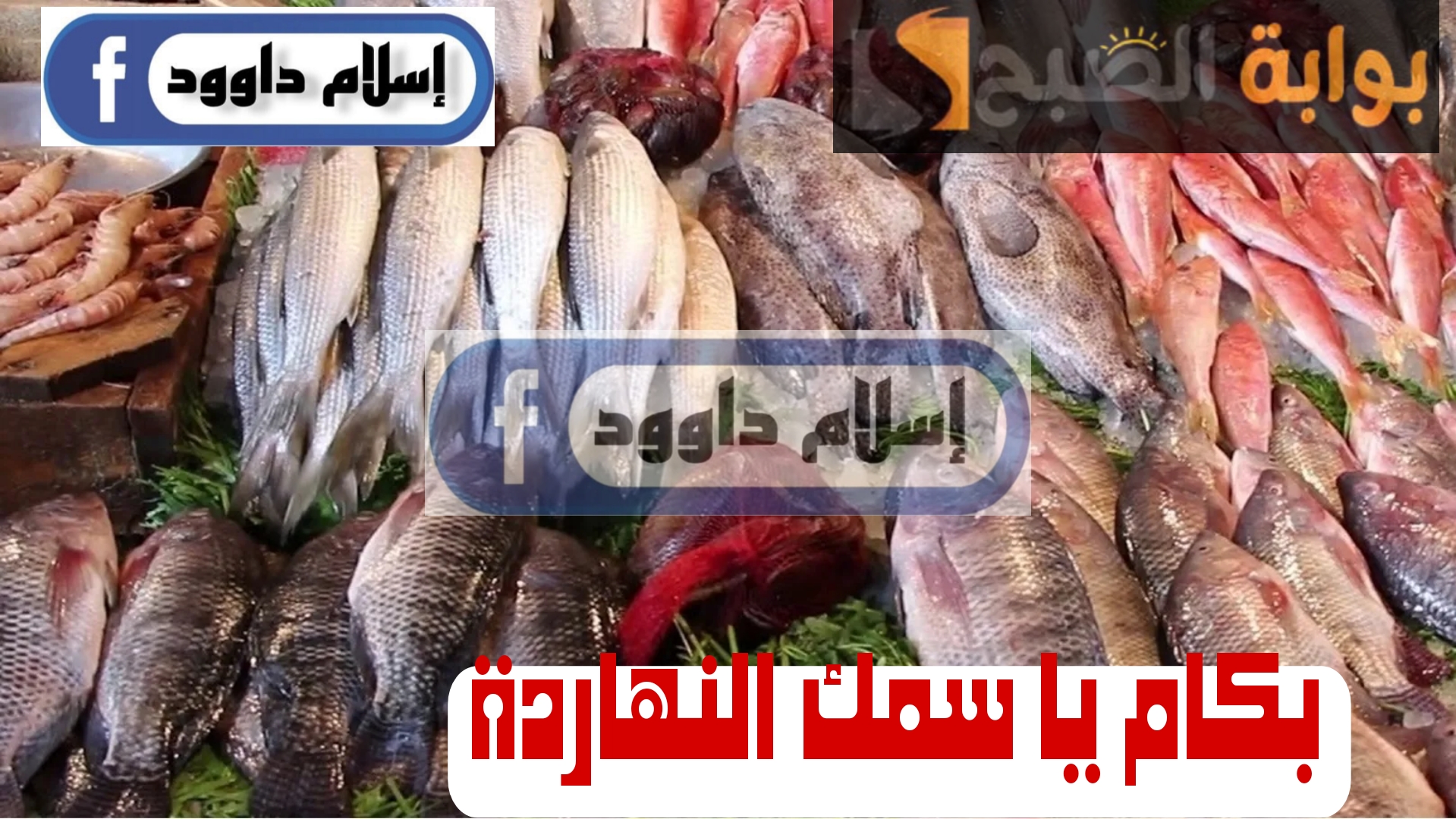 ”السمك بكام النهاردة“ تعرف على آخر أسعار الأسماك اليوم الإثنين 19 فبراير 2024 5 ”السمك بكام النهاردة“ تعرف على آخر أسعار الأسماك اليوم الإثنين 19 فبراير 2024