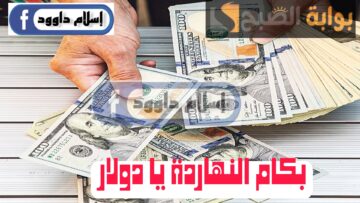 ”الدولار بكام“.. تعرف على أسعار الدولار اليوم السبت 24 فبراير 2024