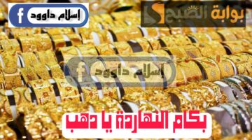 Picsart 24 02 19 11 03 41 797 4