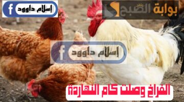 Picsart 24 02 19 11 18 51 163 1