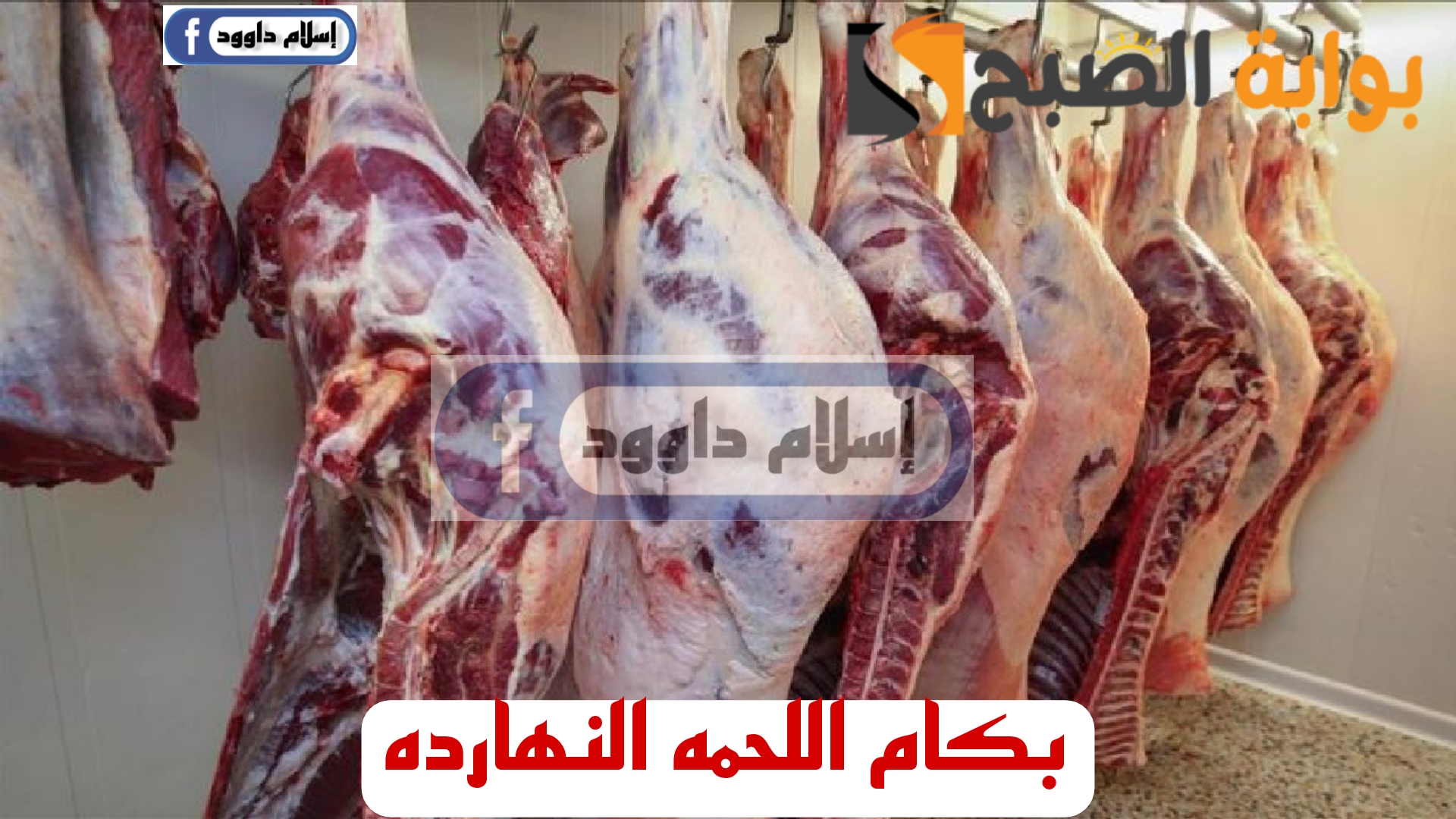 "بكام اللحمه النهارده".. تعرف على اسعار اللحوم اليوم الاثنين 19 فبراير 2024 في المحلات 5 “بكام اللحمه النهارده”.. تعرف على اسعار اللحوم اليوم الاثنين 19 فبراير 2024 في المحلات