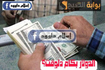 ”الدولار بكام“.. تعرف على أسعار الدولار مقابل الجنيه المصري اليوم الخميس 22 فبراير 2024