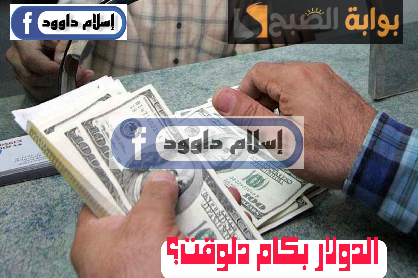 ”الدولار بكام دلوقتي“.. تعرف على سعر الدولار اليوم الثلاثاء 20 فبراير 2024 6 ”الدولار بكام دلوقتي“.. تعرف على سعر الدولار اليوم الثلاثاء 20 فبراير 2024