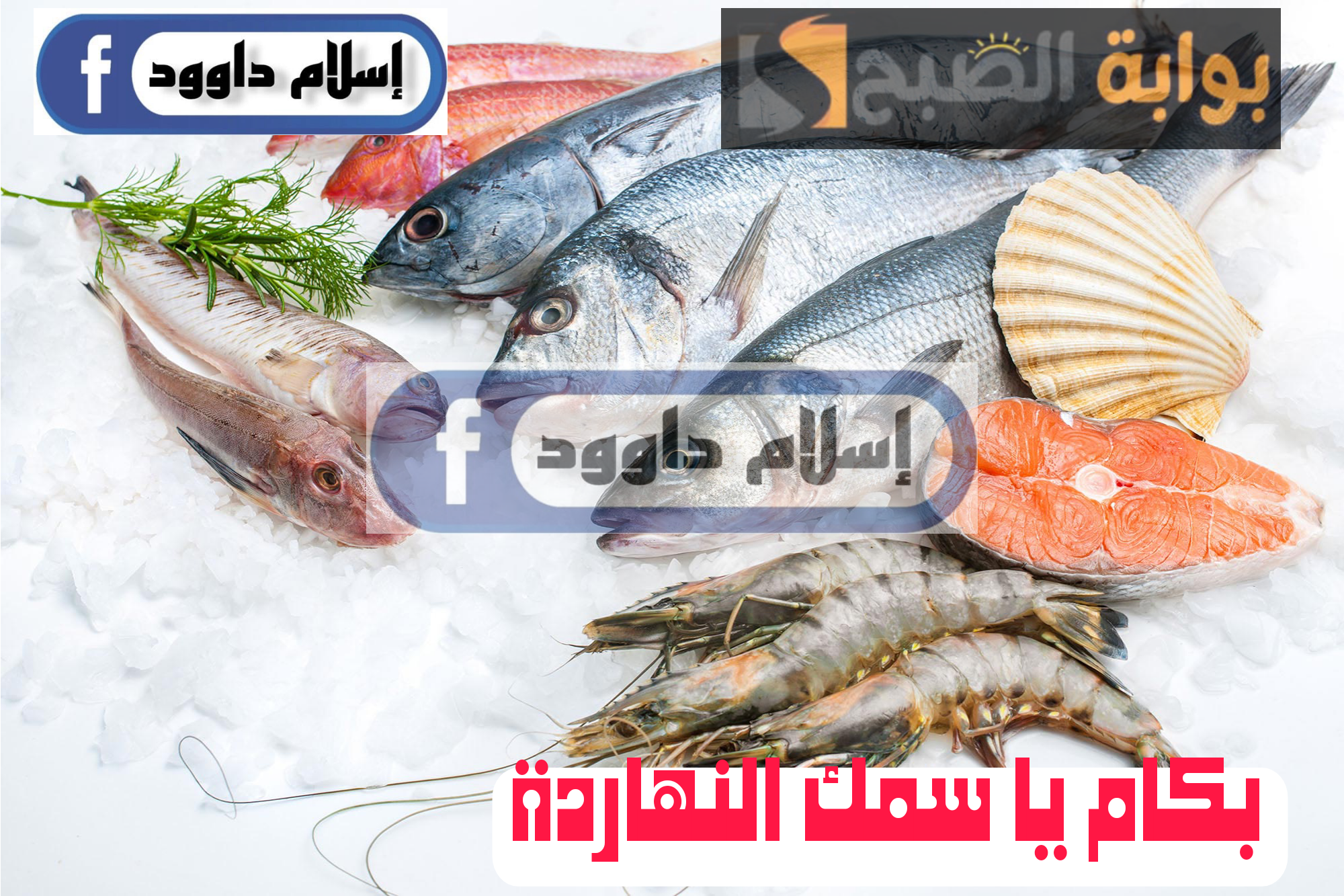”بكام يا سمك النهاردة“.. إليكم كل جديد اليوم في سعر الأسماك في الأسواق المصرية الثلاثاء 20 فبراير 2024
