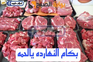 “اللحمة بكام ياعم”.. تعرف على أسعار اللحوم في الأسواق اليوم الثلاثاء