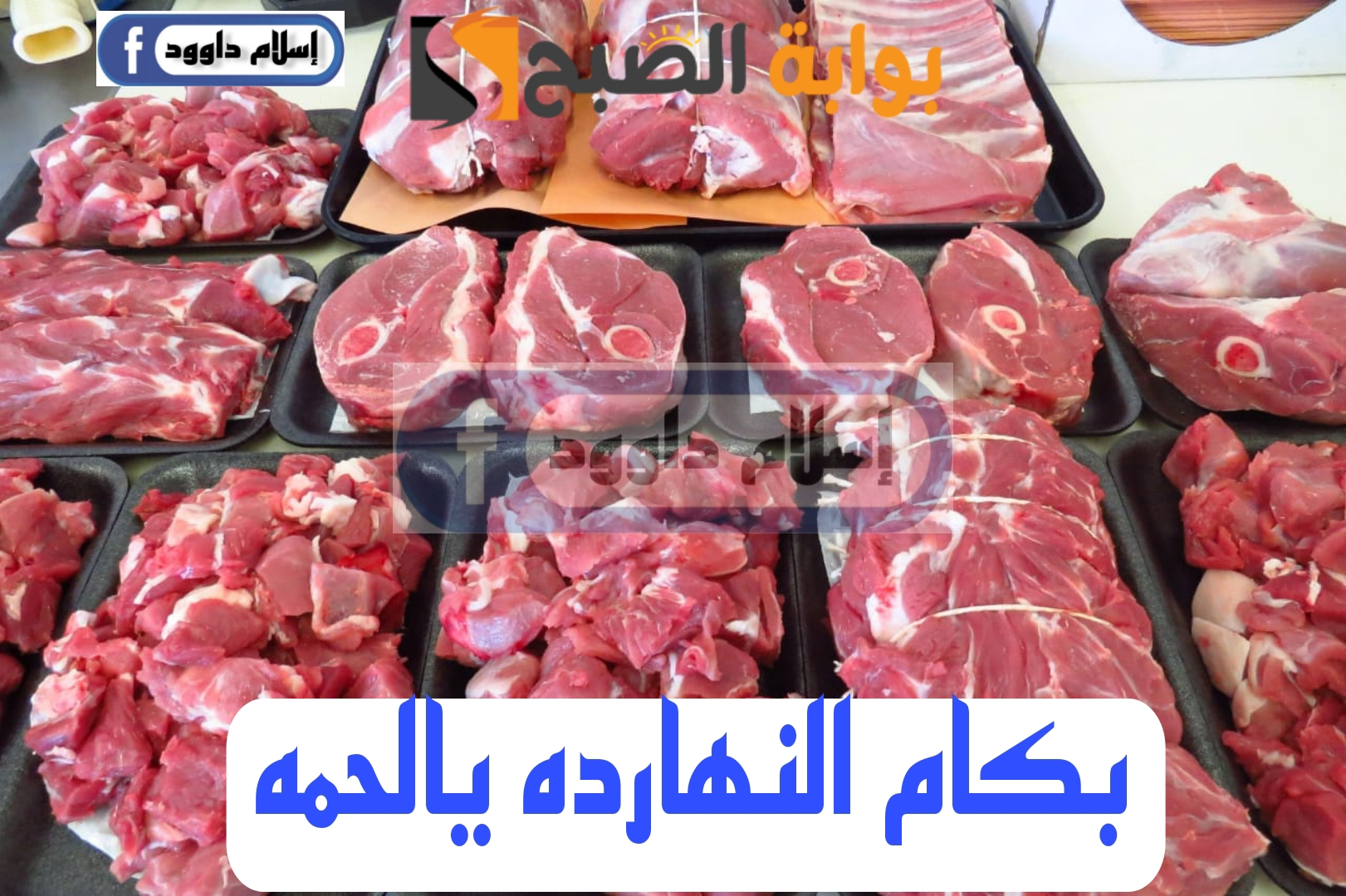 “اللحمة بكام ياعم”.. تعرف على أسعار اللحوم في الأسواق اليوم الثلاثاء