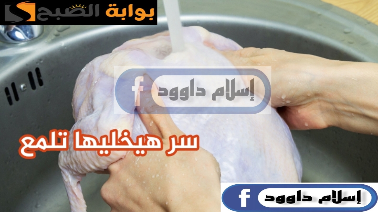 سر قالي عليه الفرارجي.. الطريقة المثالية لتنظيف البط والفراخ في البيت 5 سر قالي عليه الفرارجي.. الطريقة المثالية لتنظيف البط والفراخ في البيت