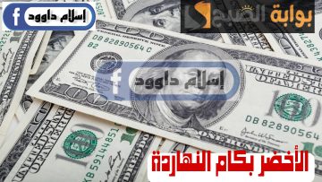 ”الدولار بكام النهاردة“.. تعرف على أسعار الدولار اليوم الثلاثاء 27 فبراير 2024 في مختلف البنوك