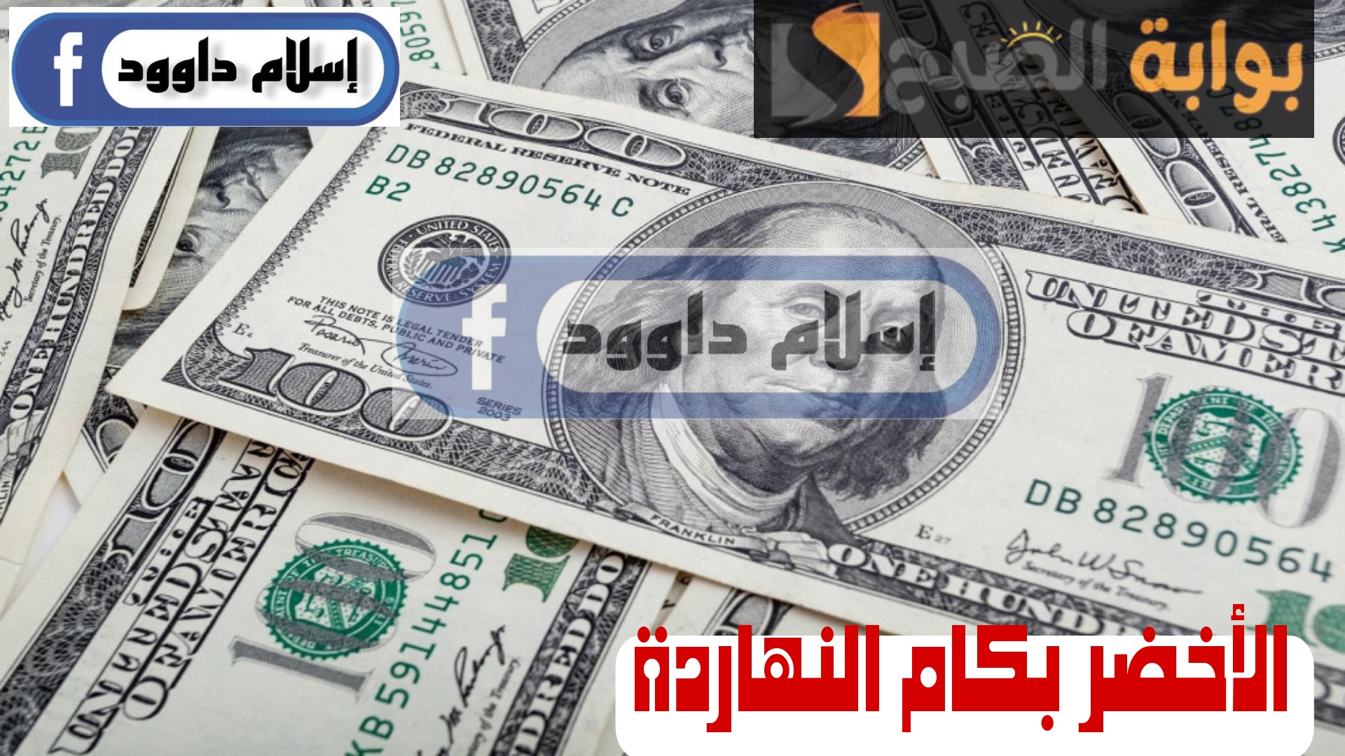 ”الأخضر بكام“.. تعرف على أسعار الدولار اليوم الأربعاء 21 فبراير 2024