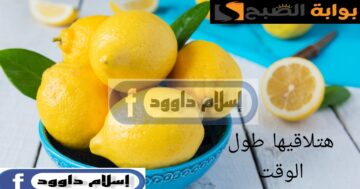 خزنيها من السنة للسنة.. أسرار طريقة تخزين الليمون في المنزل