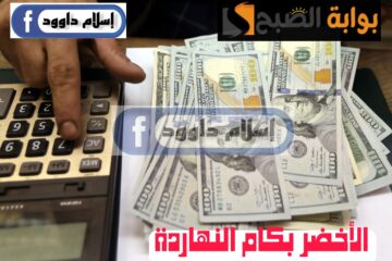 ”الدولار بكام“.. تعرف على أسعار الدولار اليوم الأحد 25 فبراير 2024 في البنوك