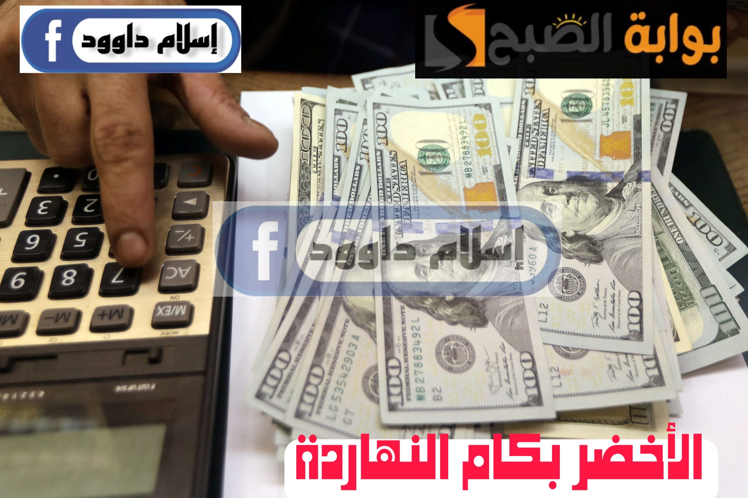 ”الدولار بكام“.. تعرف على أسعار الدولار اليوم الأحد 25 فبراير 2024 في البنوك