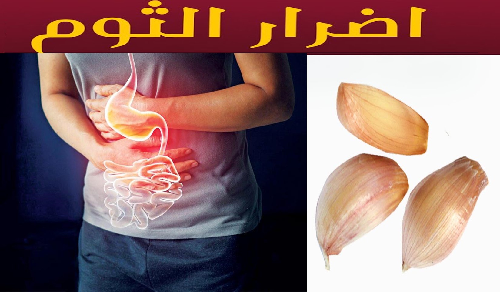 هل أنت منهم؟.. فئات ممنوعة من تناول الثوم نهائيًا ويعرضهم لكارثة صحية 5 هل أنت منهم؟.. فئات ممنوعة من تناول الثوم نهائيًا ويعرضهم لكارثة صحية