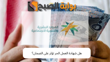 هل شهادة العمل الحر تؤثر على الضمان؟ تعرف على حالات إيقاف معاش الضمان الاجتماعي