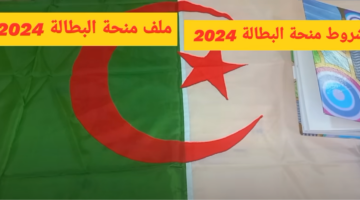 Screenshot 2024 02 15 114100
