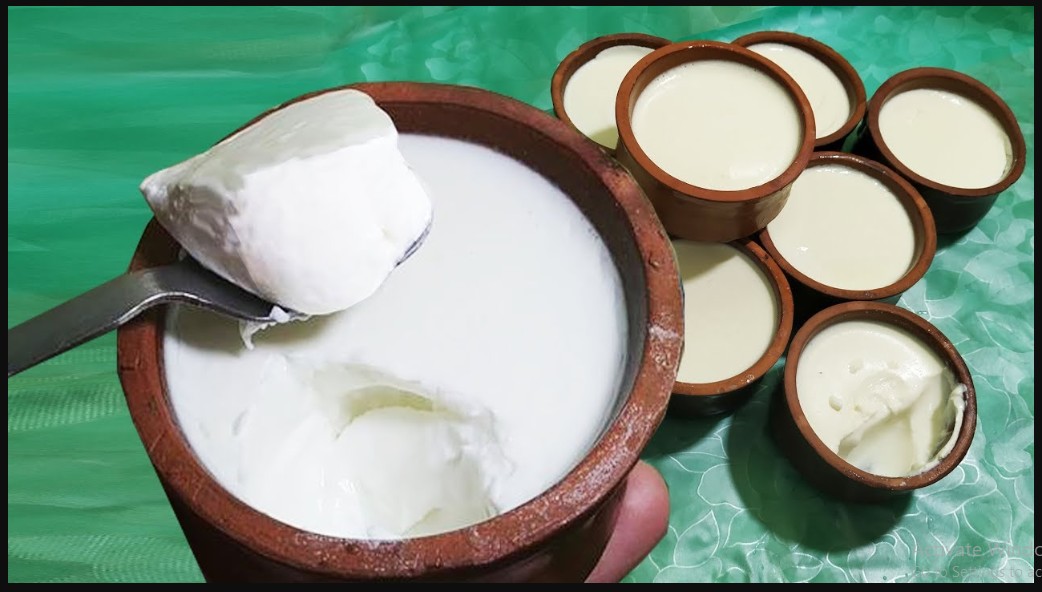 طريقه الزبادي لسحور رمضان.. هتعمليه كل يوم ندمت إني مجربتش اعملها فى البيت طعم وتماسك زى الجاهز احلى من بتاعة الشركات 5 طريقه الزبادي لسحور رمضان.. هتعمليه كل يوم ندمت إني مجربتش اعملها فى البيت طعم وتماسك زى الجاهز احلى من بتاعة الشركات
