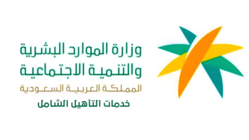 تحديثات جديدة في نظام نقل كفالة العمالة المنزلية.. الشروط والضوابط