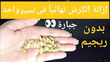 بذور طبيعية هتشيل الكرش والدهون بسرعة لا تصدق