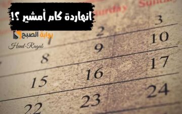 “انهاردة كام أمشير؟!”.. إليك ورقة نتيجة اليوم الأحد 25-2-2024 وعدد الأيام المتبقية من أبو الزعابيب
