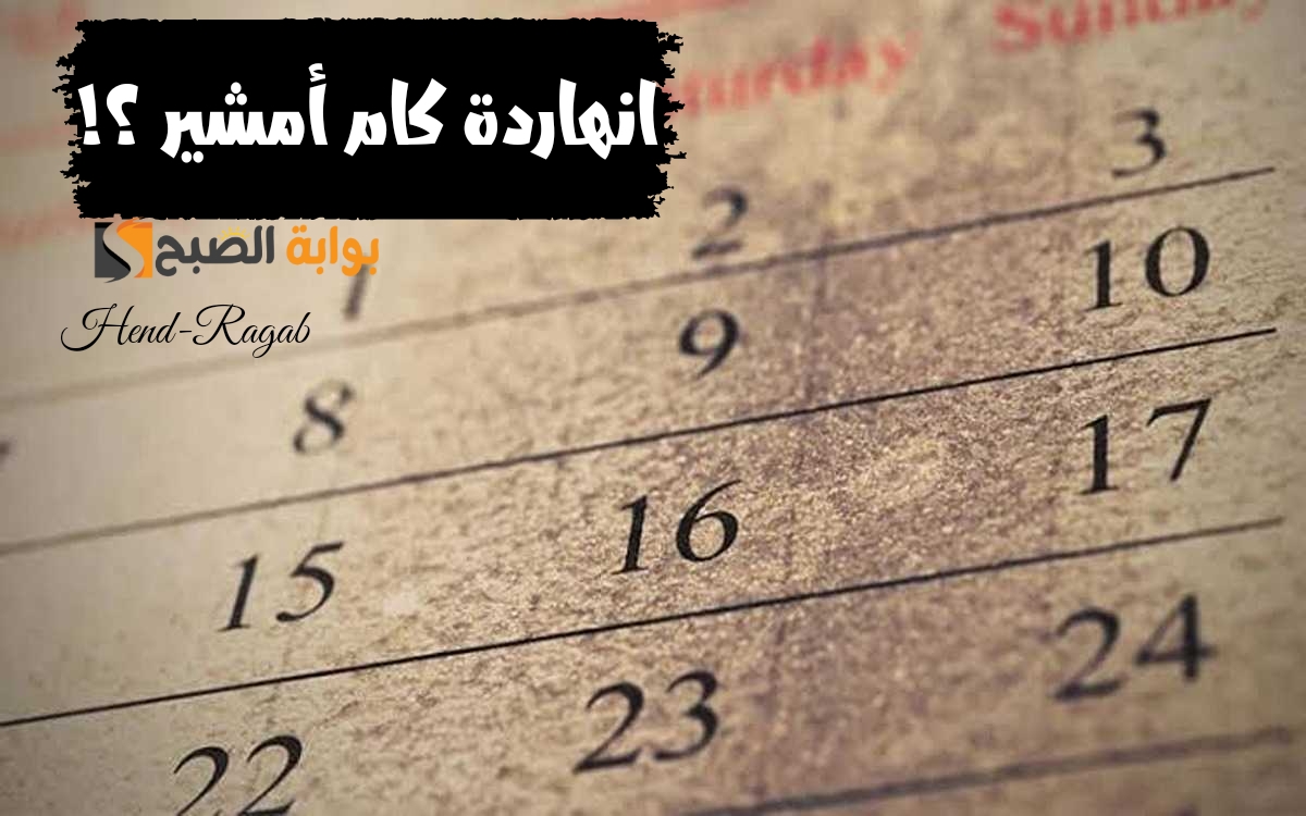 “انهاردة كام أمشير؟!”.. إليك ورقة نتيجة اليوم الأحد 25-2-2024 وعدد الأيام المتبقية من أبو الزعابيب
