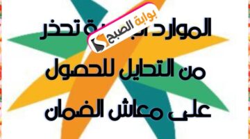 WhatsApp Image 2024 02 02 at 16.41.07 6aef56bf