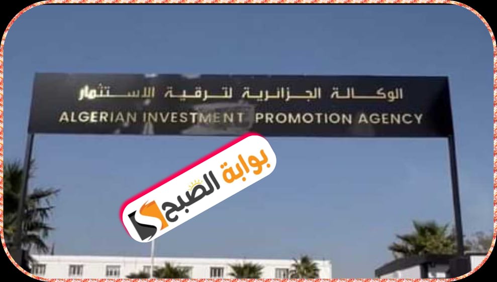 المنصة الرقمية للمستثمر في الجزائر 2024: تعرّف على أهدافها وكيفية استخدامها 7 المنصة الرقمية للمستثمر في الجزائر 2024: تعرّف على أهدافها وكيفية استخدامها