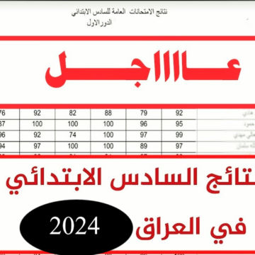 “اعرف نتيجتك فوراً”.. إعلان نتائج السادس الابتدائي التمهيدي 2024 عبر موقع نتائجنا