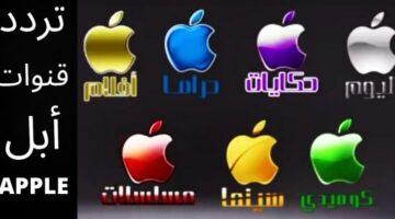 image 750x 63a4675b68cae