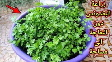 images 10 6