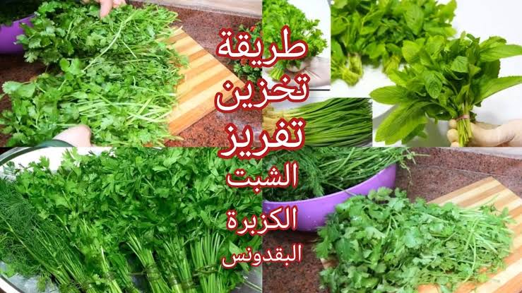 مش محتاجة تشتريها طول شهر رمضان.. طريقة تخزين الشبت والبقدونس والكزبرة بدون تغيير مذاقها 5 مش محتاجة تشتريها طول شهر رمضان.. طريقة تخزين الشبت والبقدونس والكزبرة بدون تغيير مذاقها