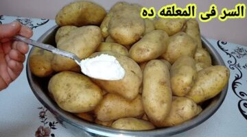 images 24 2