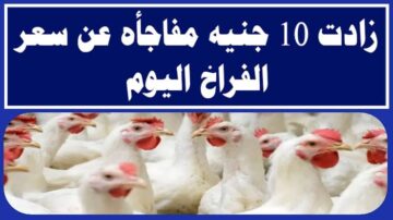 “شوف الفراخ بكام “.. مفاجأة كبيرة في اسعار الدواجن يوم الخميس 1 فبراير 2024 .. رايحة على فين تاني!!