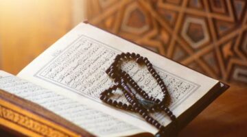 images15