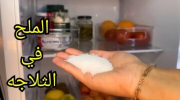 imagesاوةىىى 4