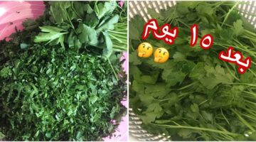 imageنززظs 3