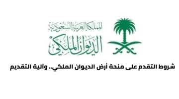 img 1705186969444