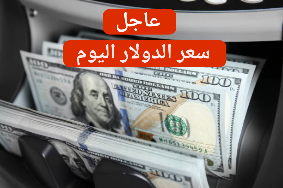 شوف السعر أول بأول.. سعر الدولار اليوم الجمعة 16 فبراير 2024 في البنك المركزي 4 شوف السعر أول بأول.. سعر الدولار اليوم الجمعة 16 فبراير 2024 في البنك المركزي