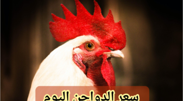 img 1706887389961 2