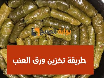 زيني سفرتك بأشهى المحاشي.. طريقة تخزين ورق العنب في الفريزر بدون ما يتغير طعمه